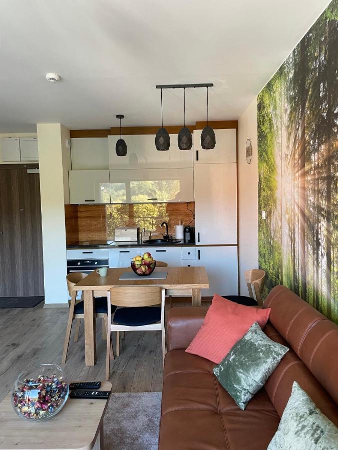 Apartament Delux 2 스클라르스카포렘바 외부 사진