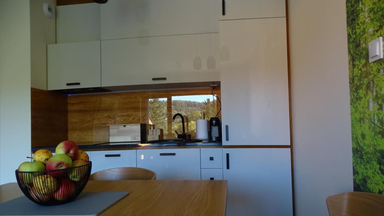 Apartament Delux 2 스클라르스카포렘바 외부 사진